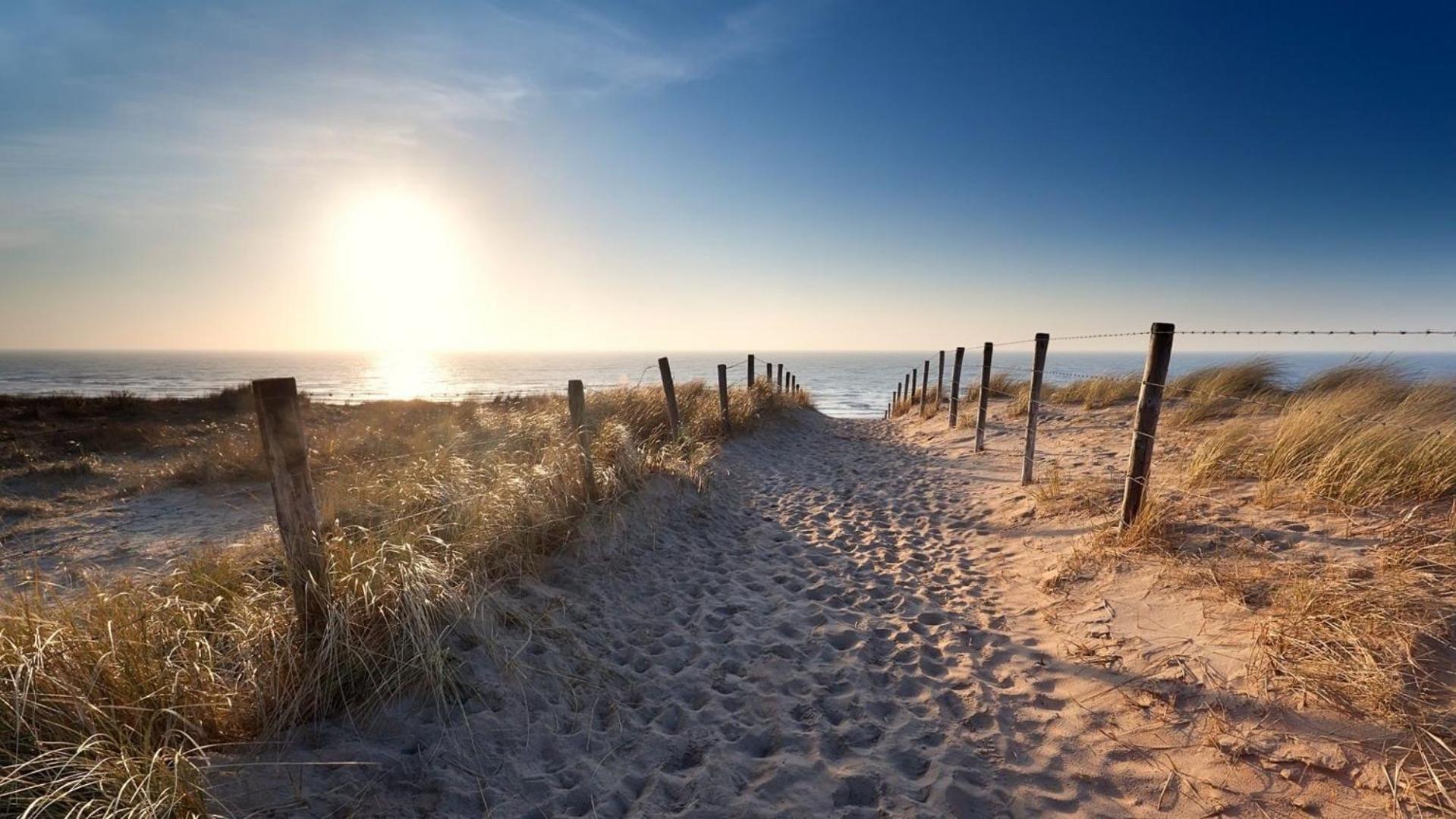 Sunny Dunes Zandvoort Zewnętrze zdjęcie